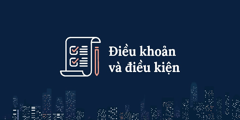 Điều khoản điều kiện là thông tin cần được quan tâm